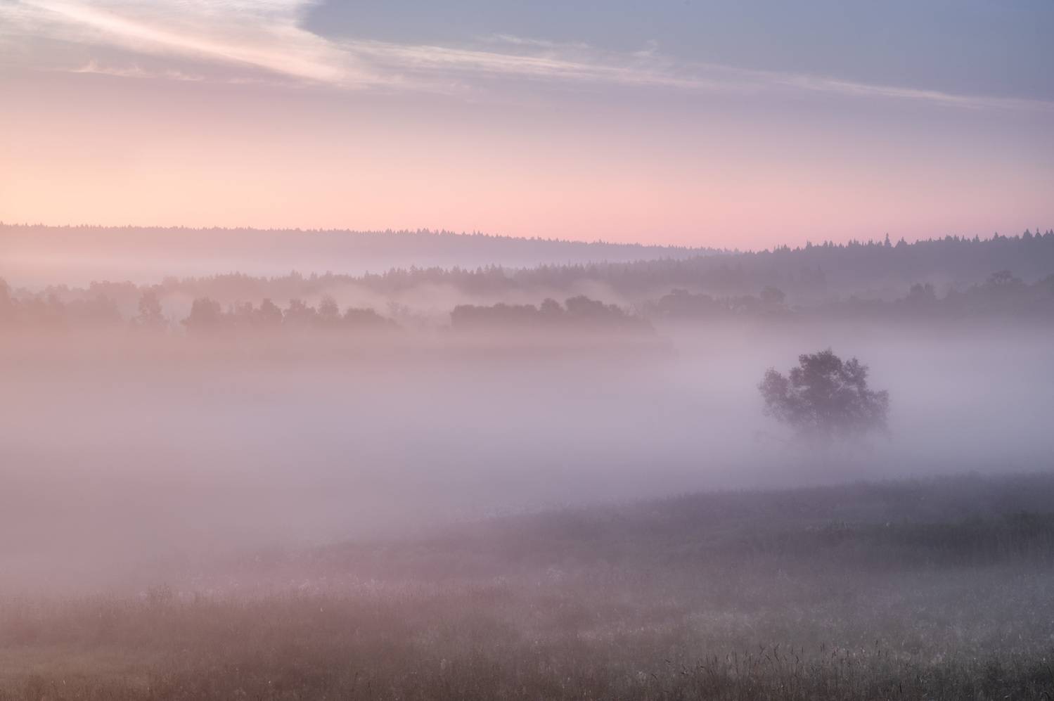 , Алексей Турчин