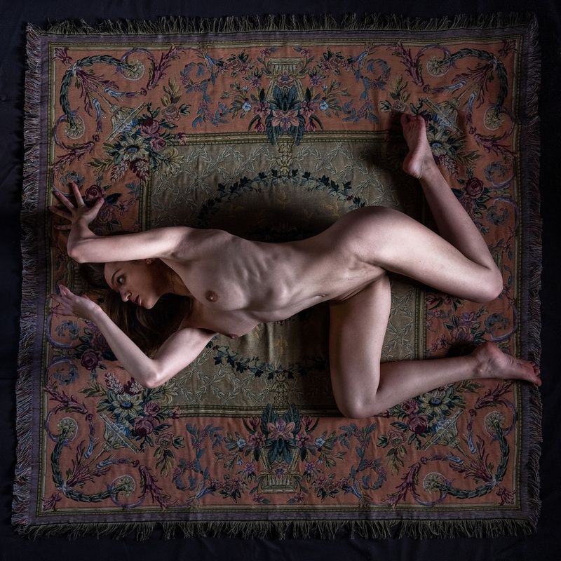 The carpet фото превью