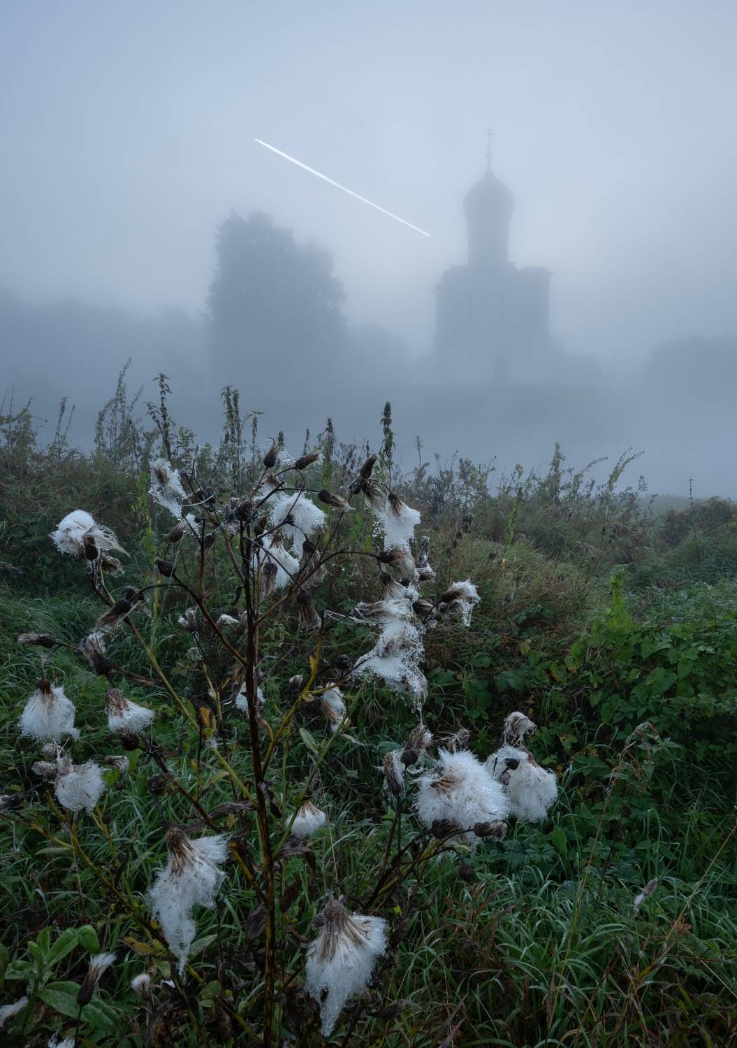 , Ширгин Сергей