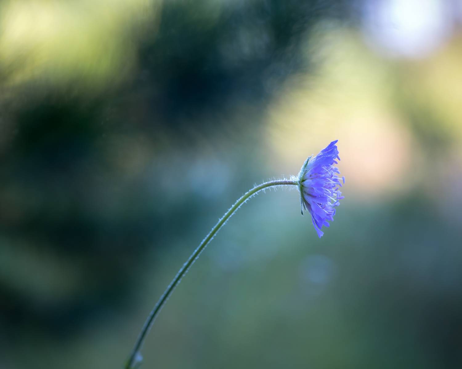 , Завьялова Людмила