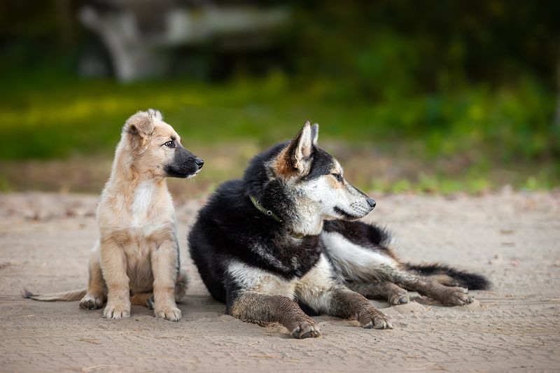 Друзья фото превью