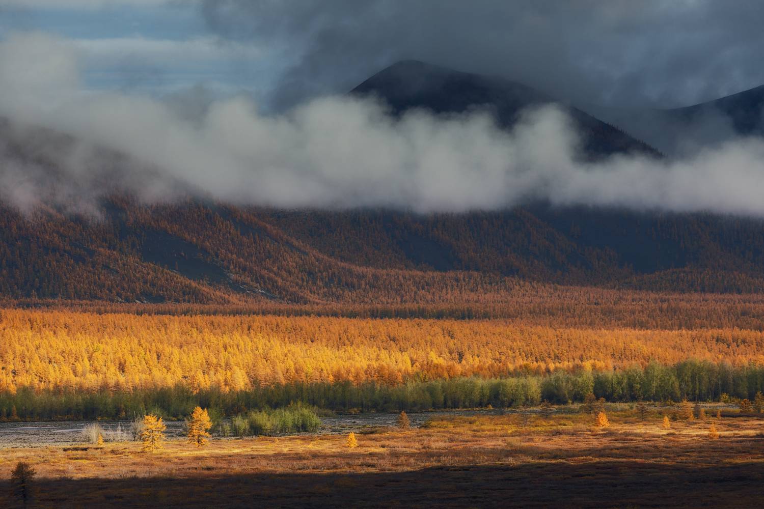 республика_саха_якутия саха якутия оймяконский_улус оймяконье хребет_сунтар-хаята река_бургали, Шишкин Дмитрий