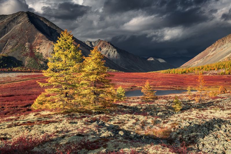 Погожий денёк...  фото превью