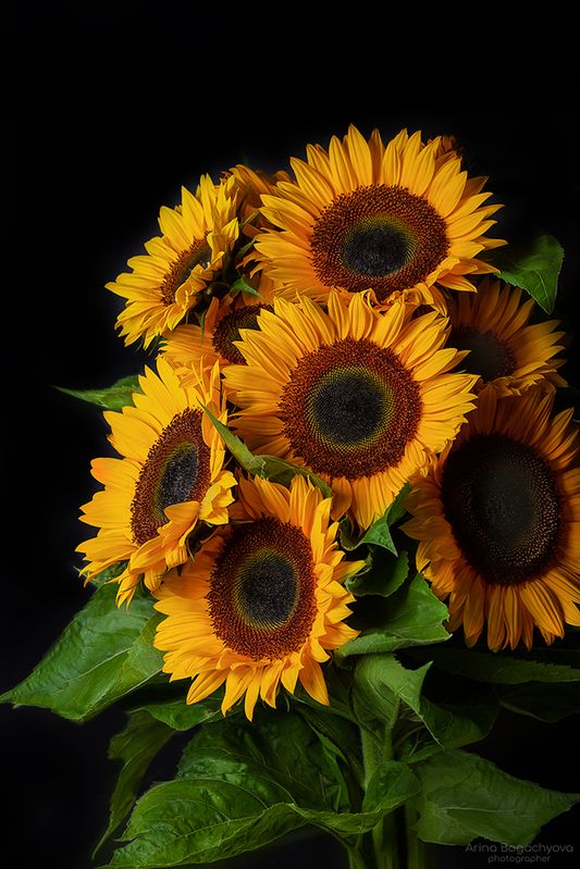 *** фото превью