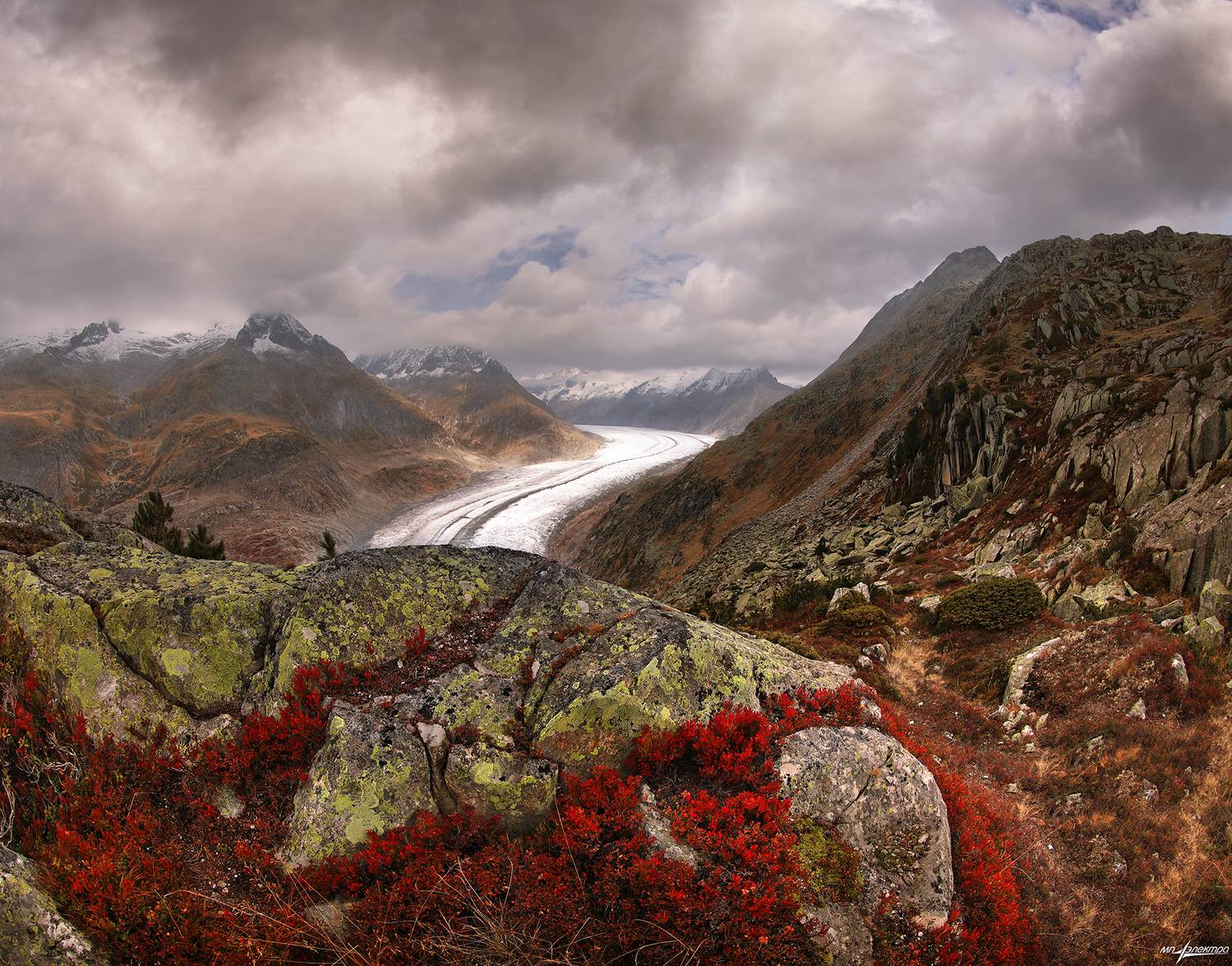 swiss, Матвеев Николай
