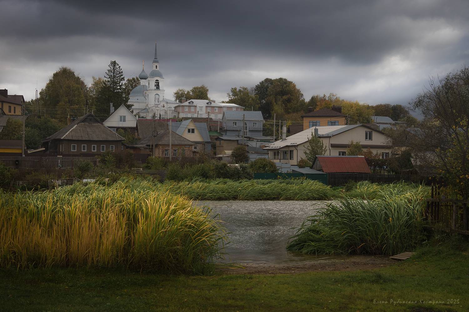 кострома, Елена Рубинская