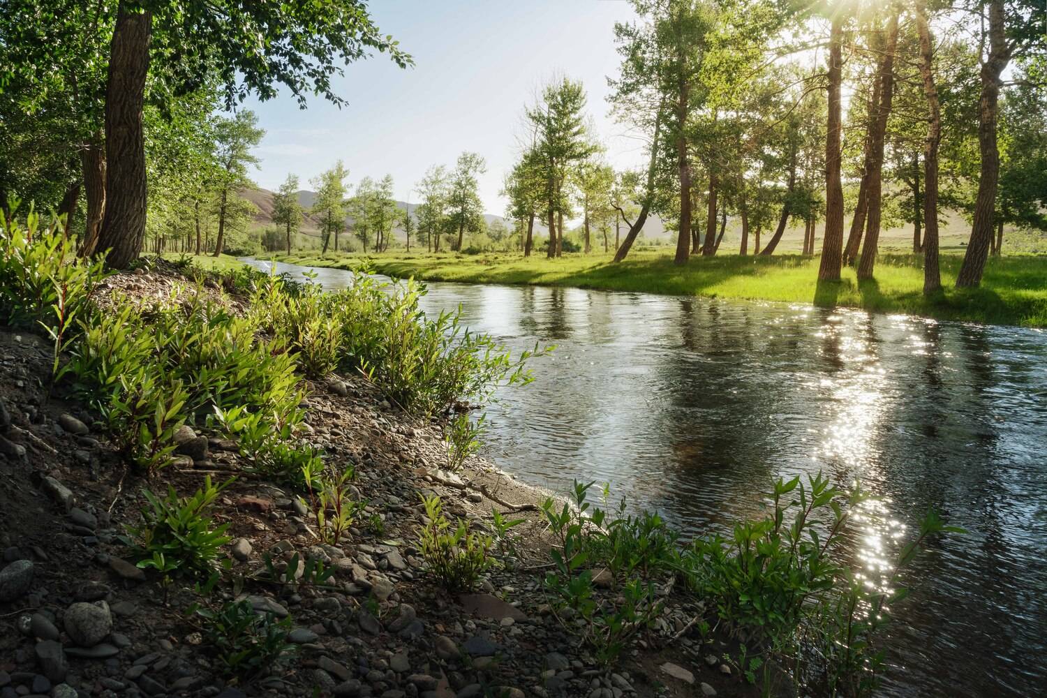 , Важенин Евгений