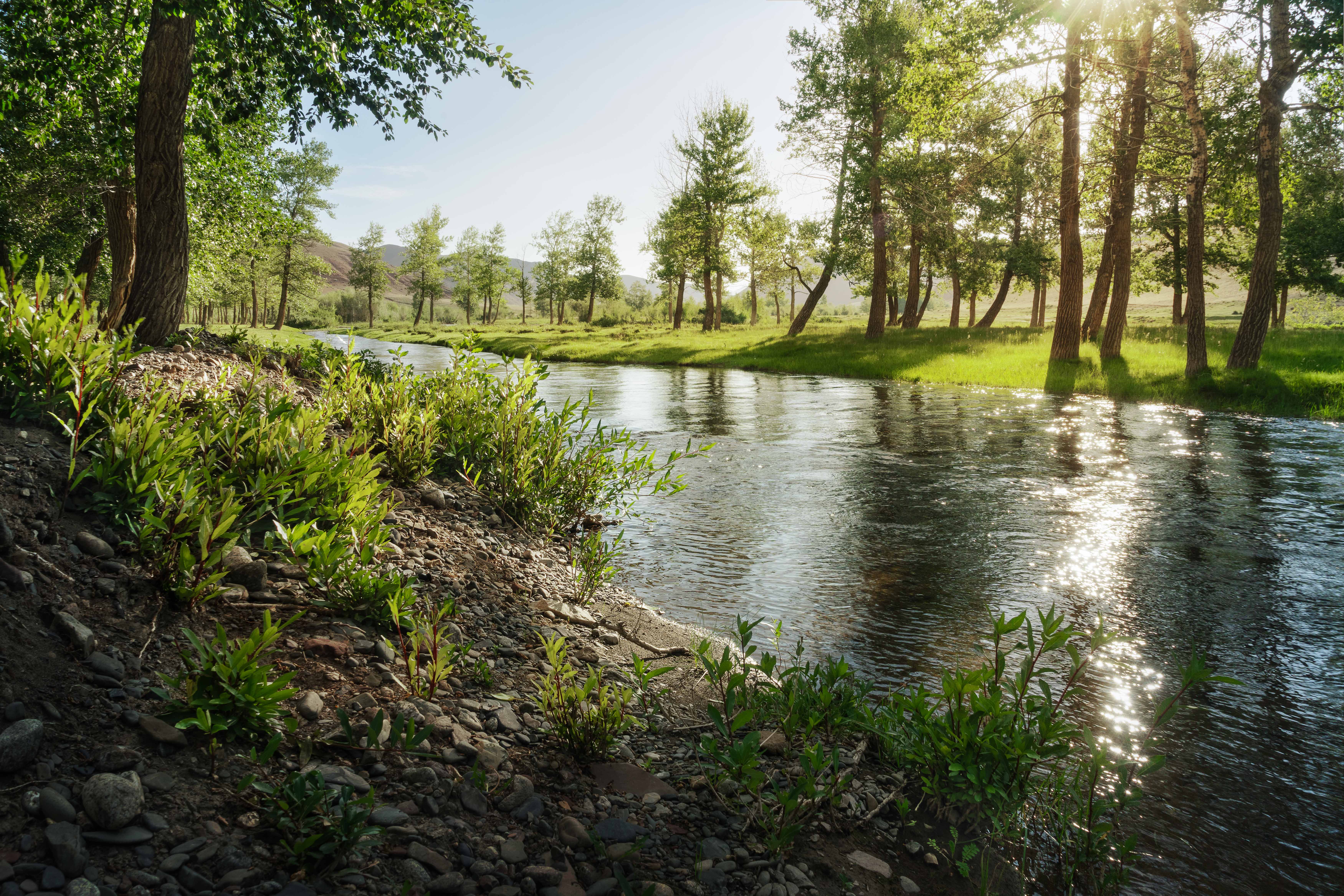 В теплых лучах июля…  In the warm rays of July... фото превью