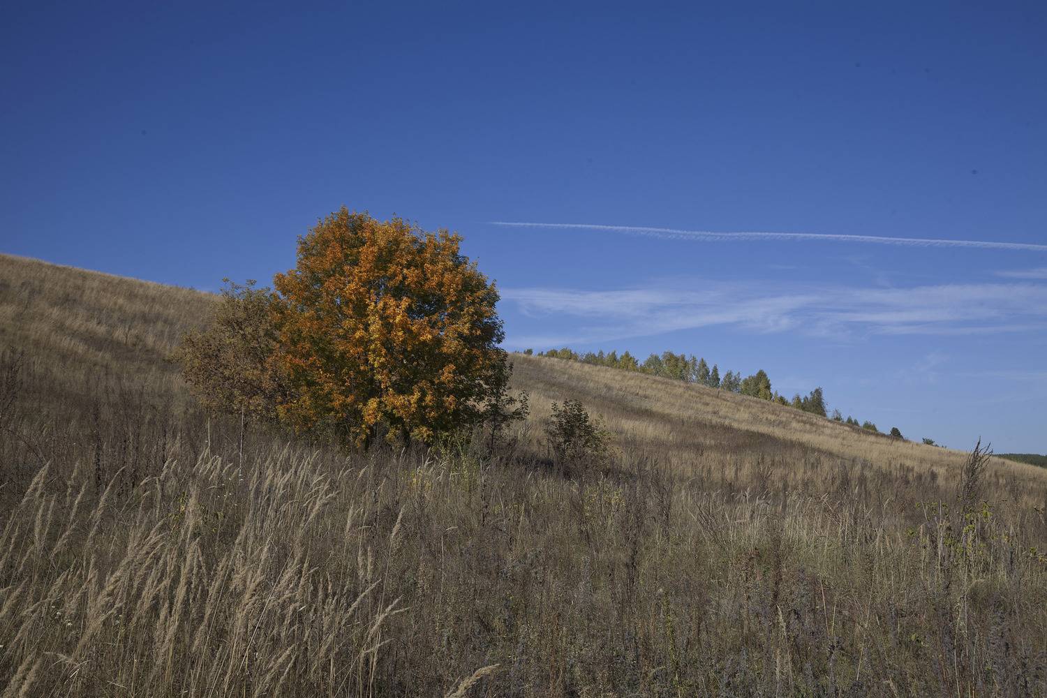 осень, Виктор Кириллов