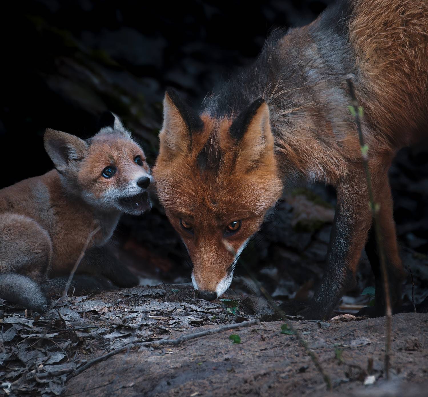 , Фото Александр