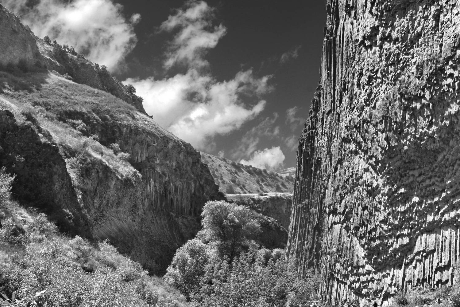 , Гагик Мхитарян