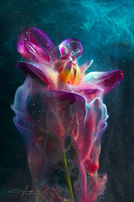 Night flower in acrylic фото превью