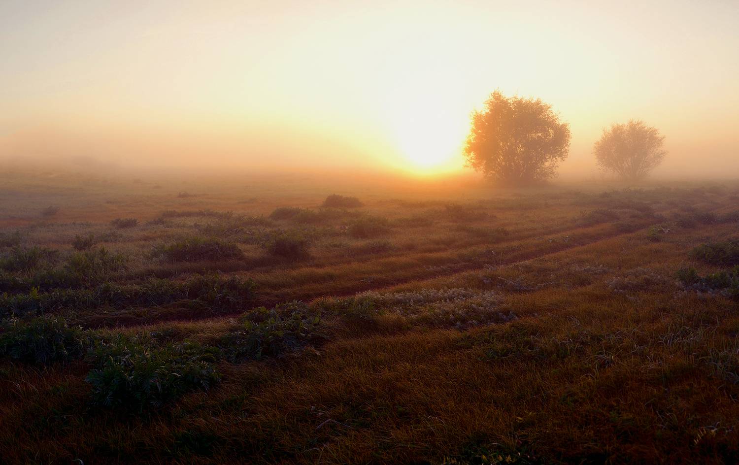 , Рукин Иван