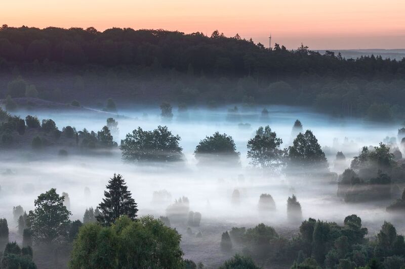 Lüneburg Heath, Germany фото превью