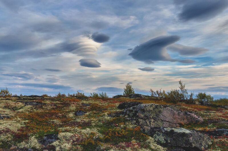 Осень, сопки и лентикулярные облака ) фото превью