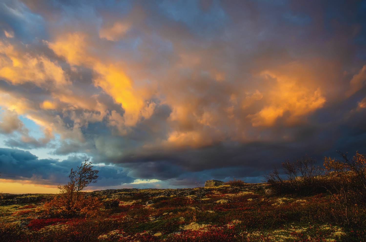 , Тихонов Сергей