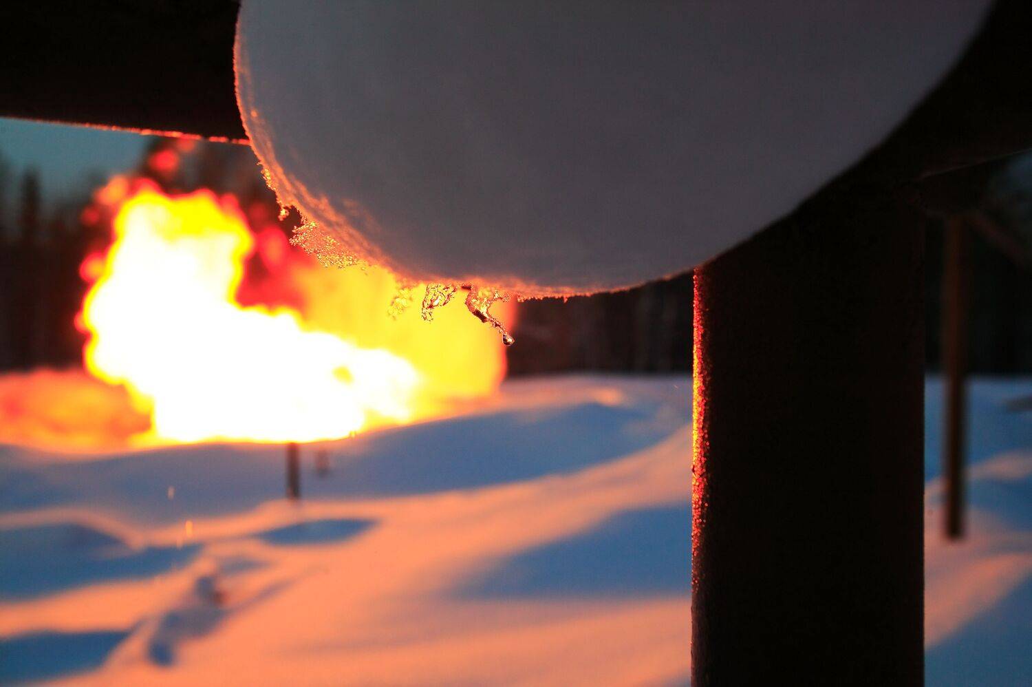 , Дронов Михаил