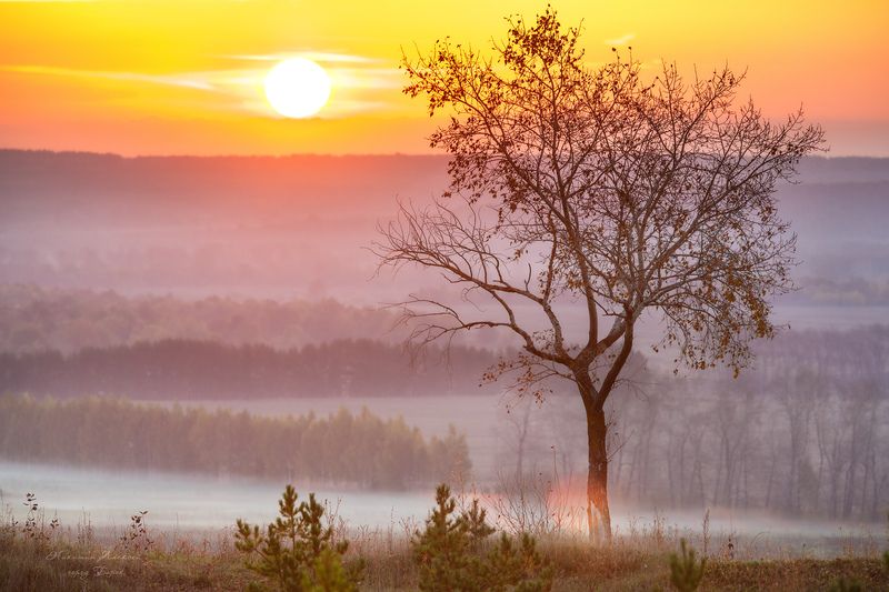 Осенний восход фото превью