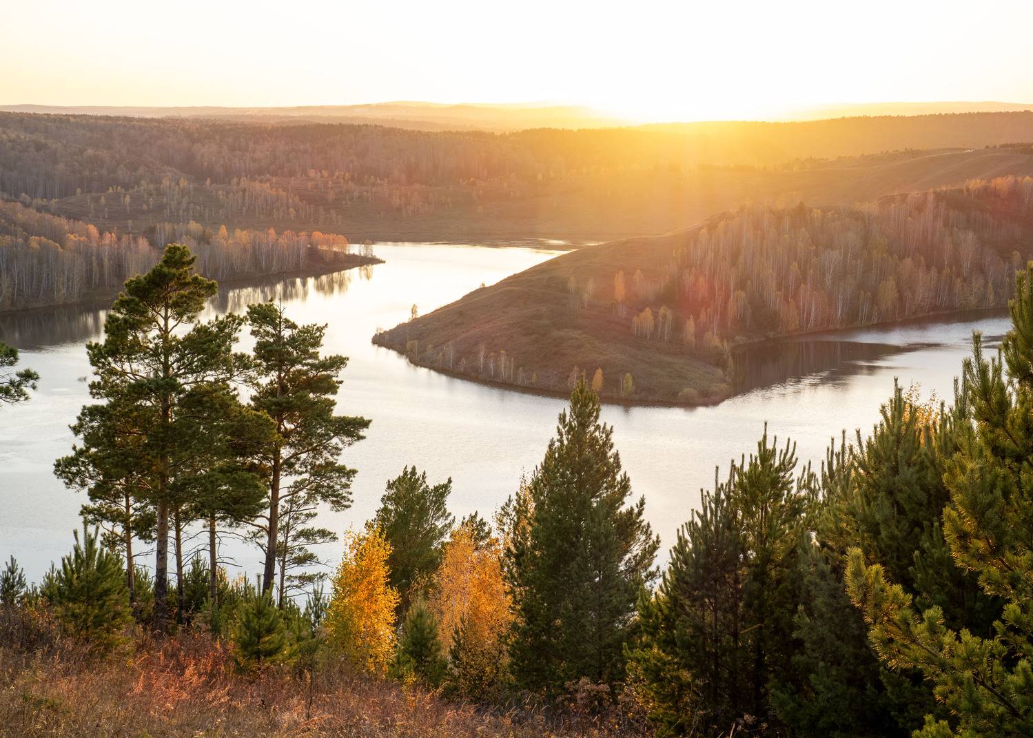 , Андрей Хаймин