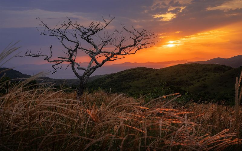 Орлинка, Приморье фото превью