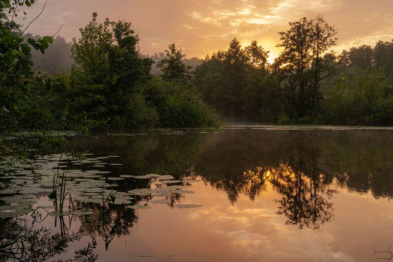 лето озеро рассвет облака отражение природа пейзаж После дождя. фото превью