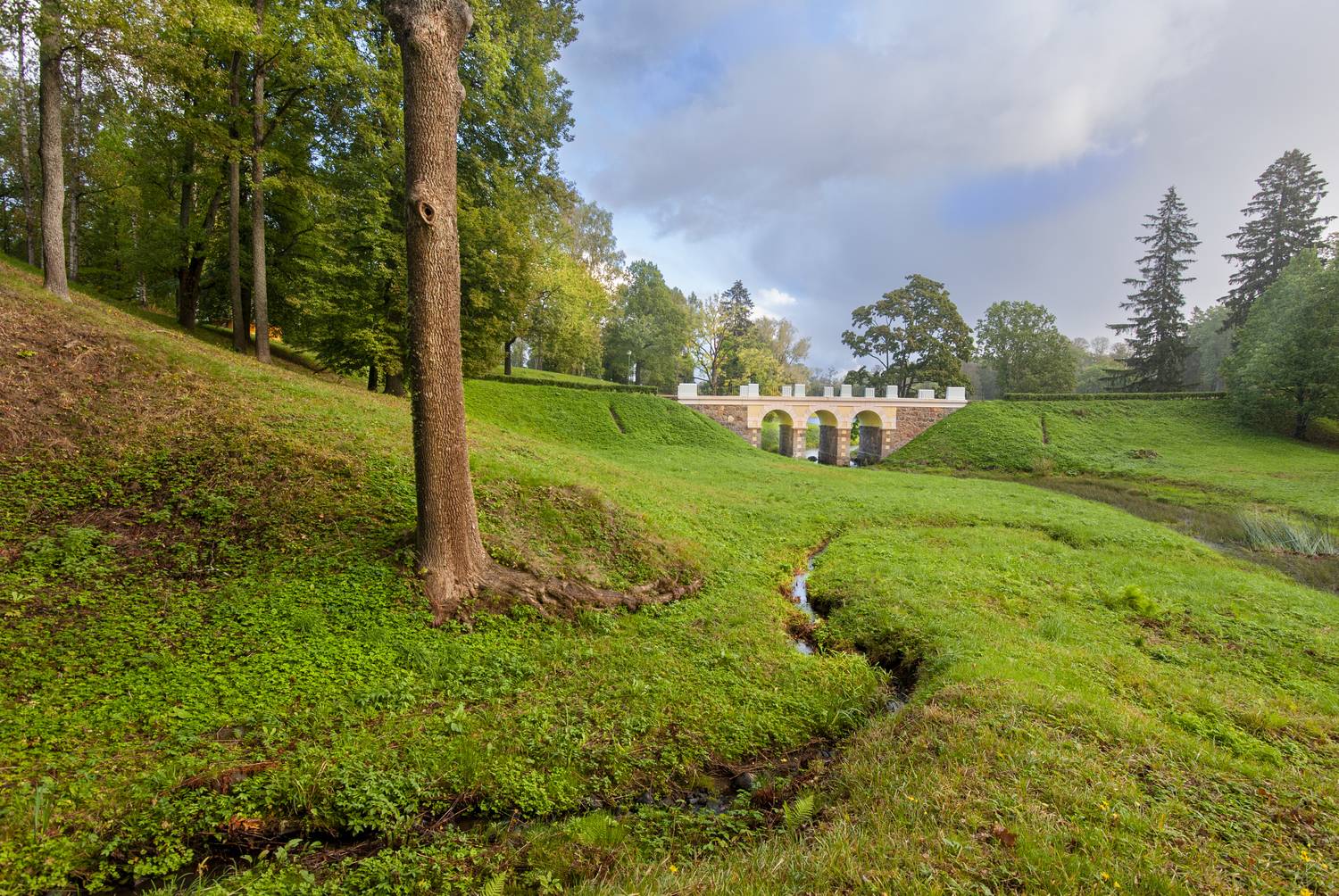 , Георгий Сапожников