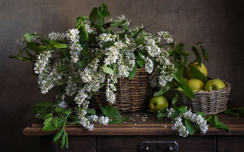 натюрморт Черемуха фото превью