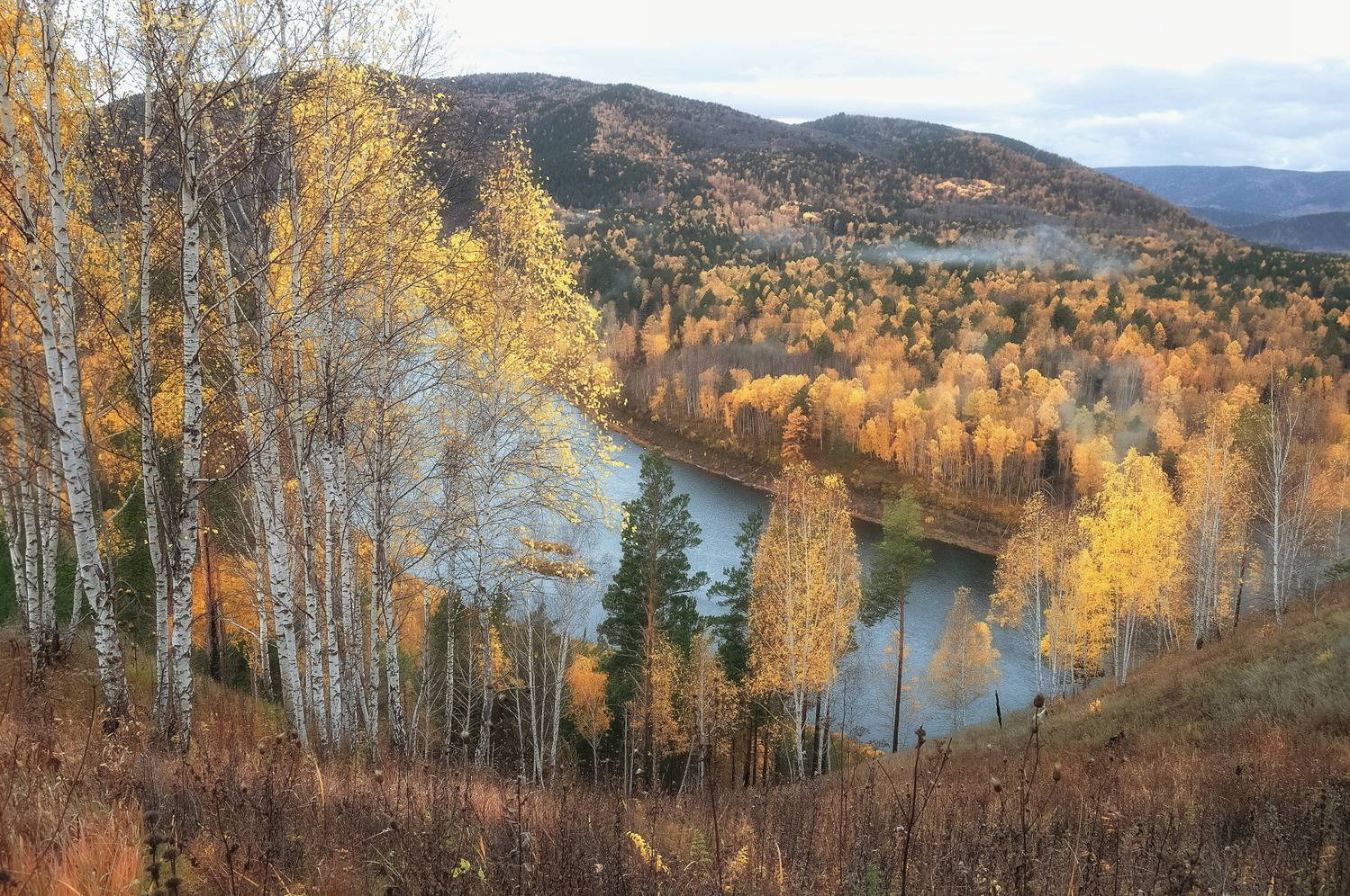 сибирь, манская петля, осень, березы, Марина Фомина