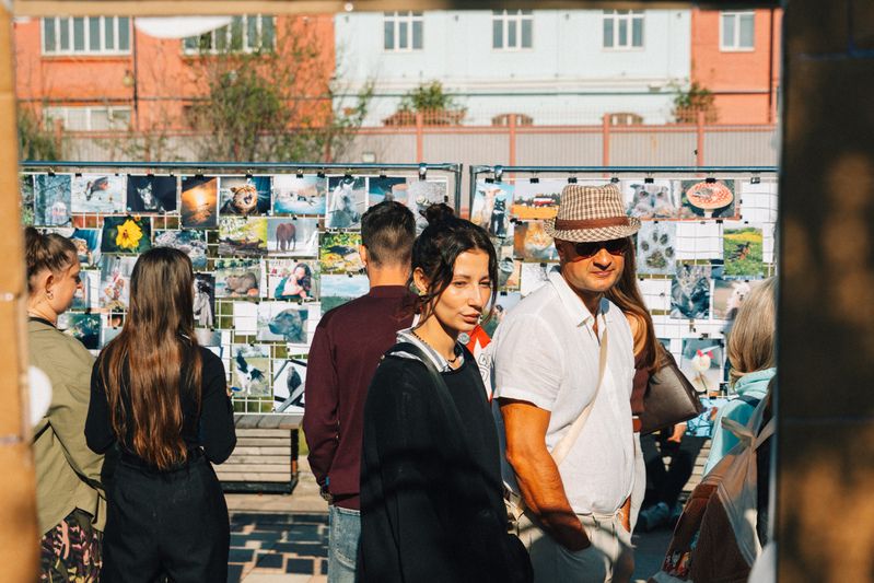 фото превью