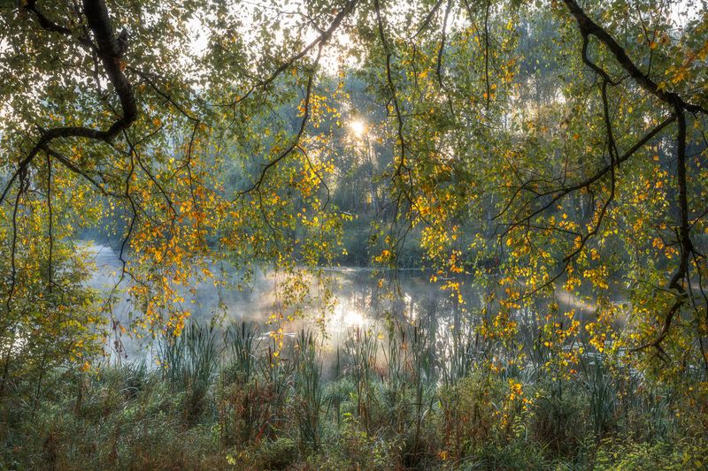 природа, пейзаж, осень, окно в осень, Московская область, пейзажная фотография Сентябрь фото превью