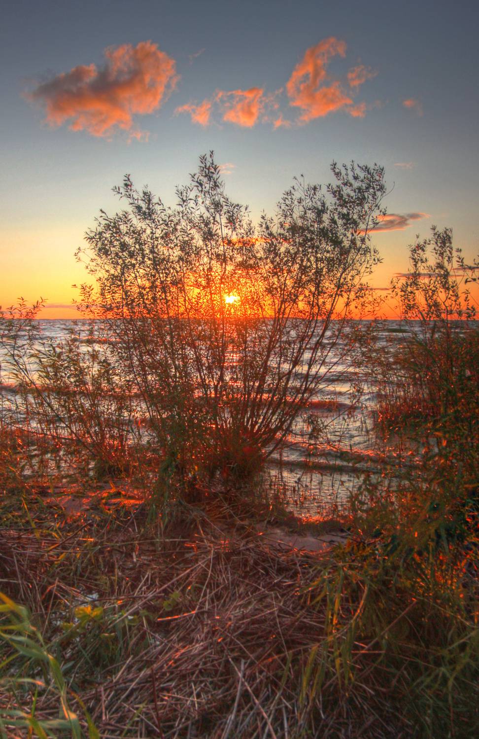 , Сергей Григорьев