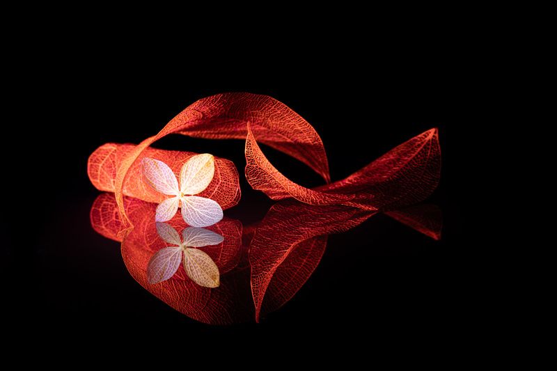 close-up Reverie фото превью