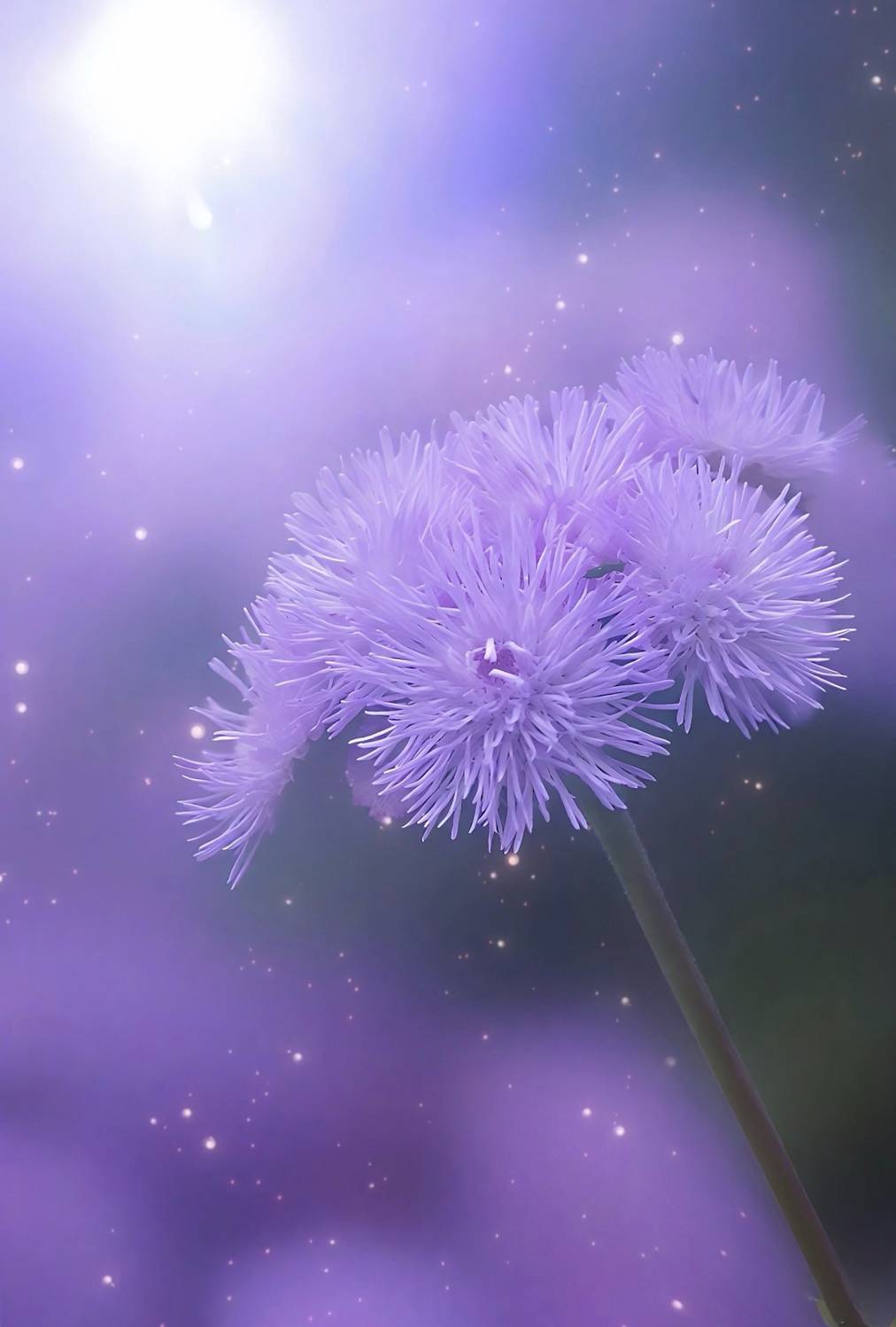 макро, macro, цветы, flowers, Julia Kaissa