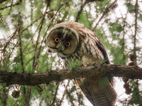 Совсем СВОЙ ракурс!! (3ФОТО)