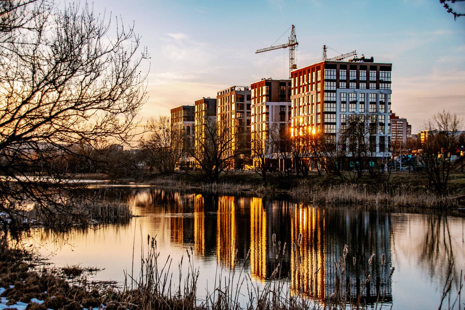 , Елена Ефимова