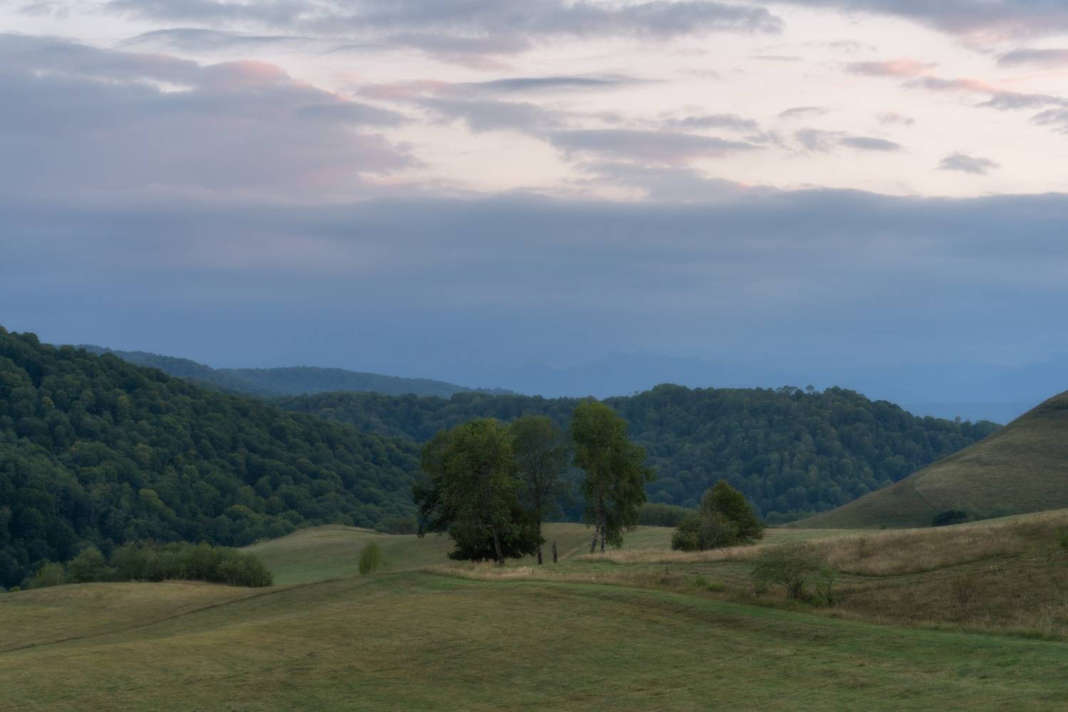 , Юлия Мальцева