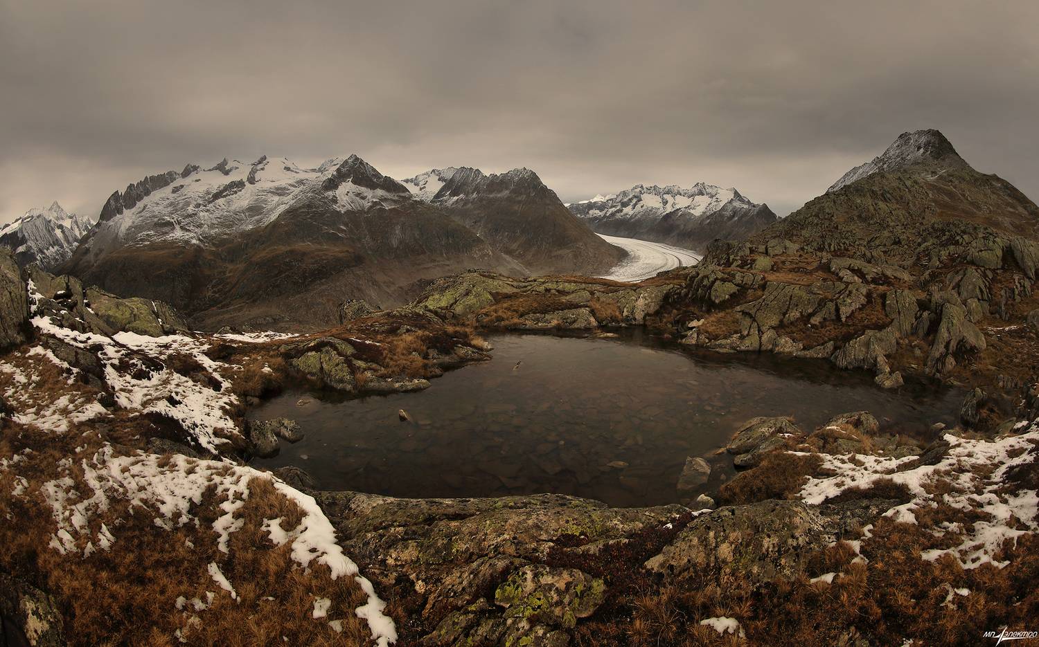 swiss, Матвеев Николай
