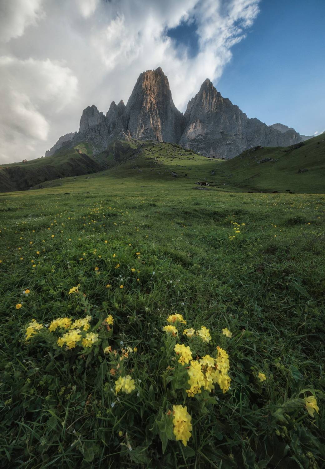 , Дэм Константин