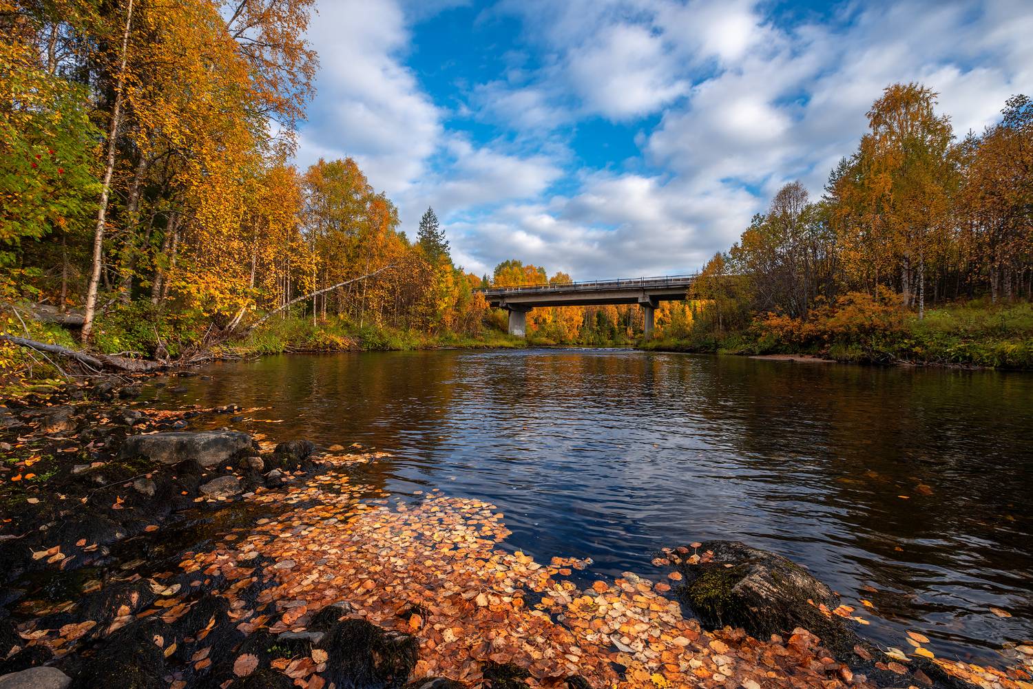 север, кольский, заполярье,, Роман Горячий
