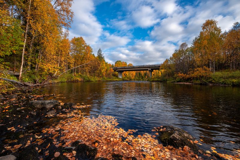 север, кольский, заполярье,  фото превью