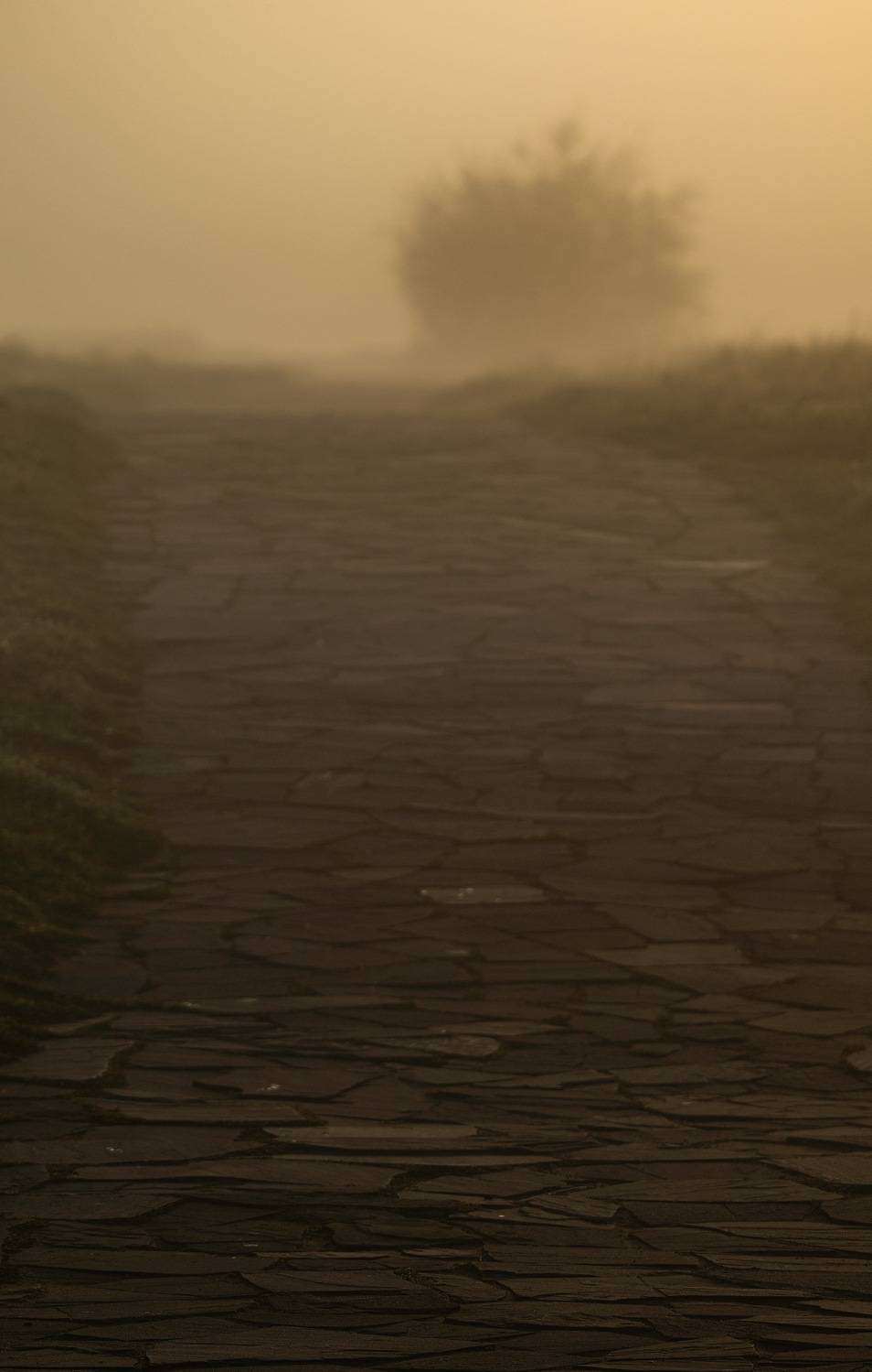 , Ширгин Сергей