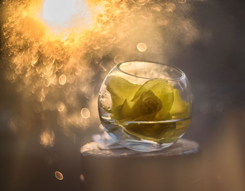 Бюро магических услуг фото превью