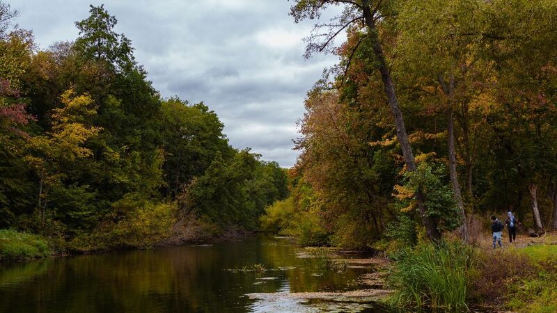 Осень фото превью