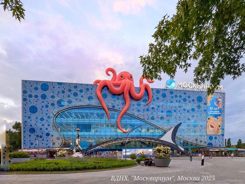 природа, водные обитатели, москва, москвариум, фото на телефон, светланаборовских ВДНХ. МОСКВАРИУМ фото превью