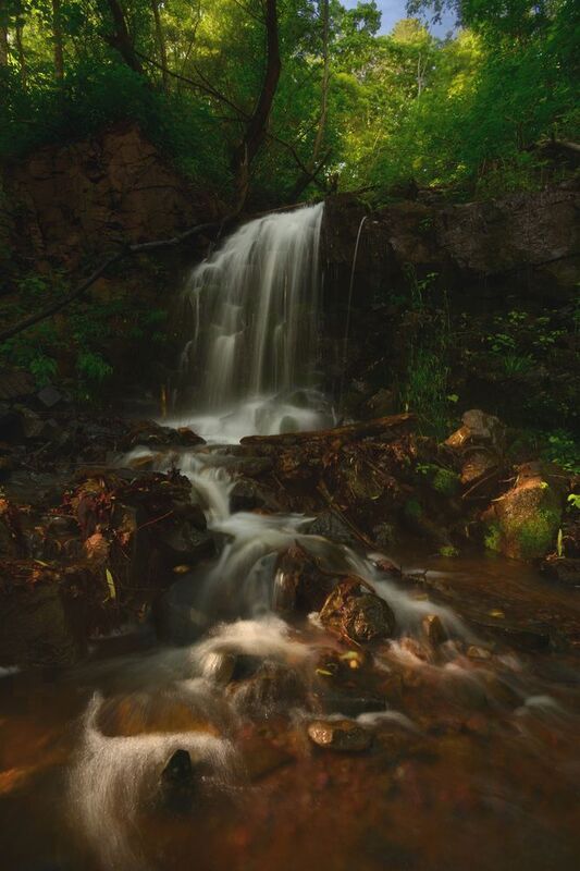 приморье Лесными тропами. фото превью
