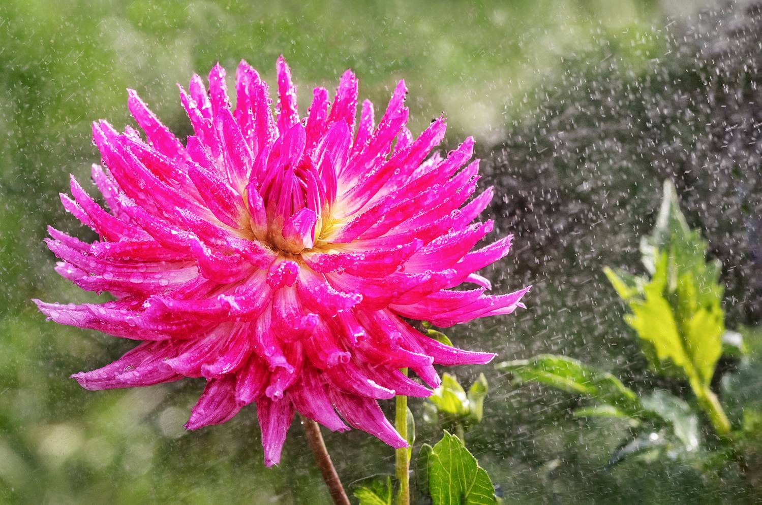 , Ушаков Валерий