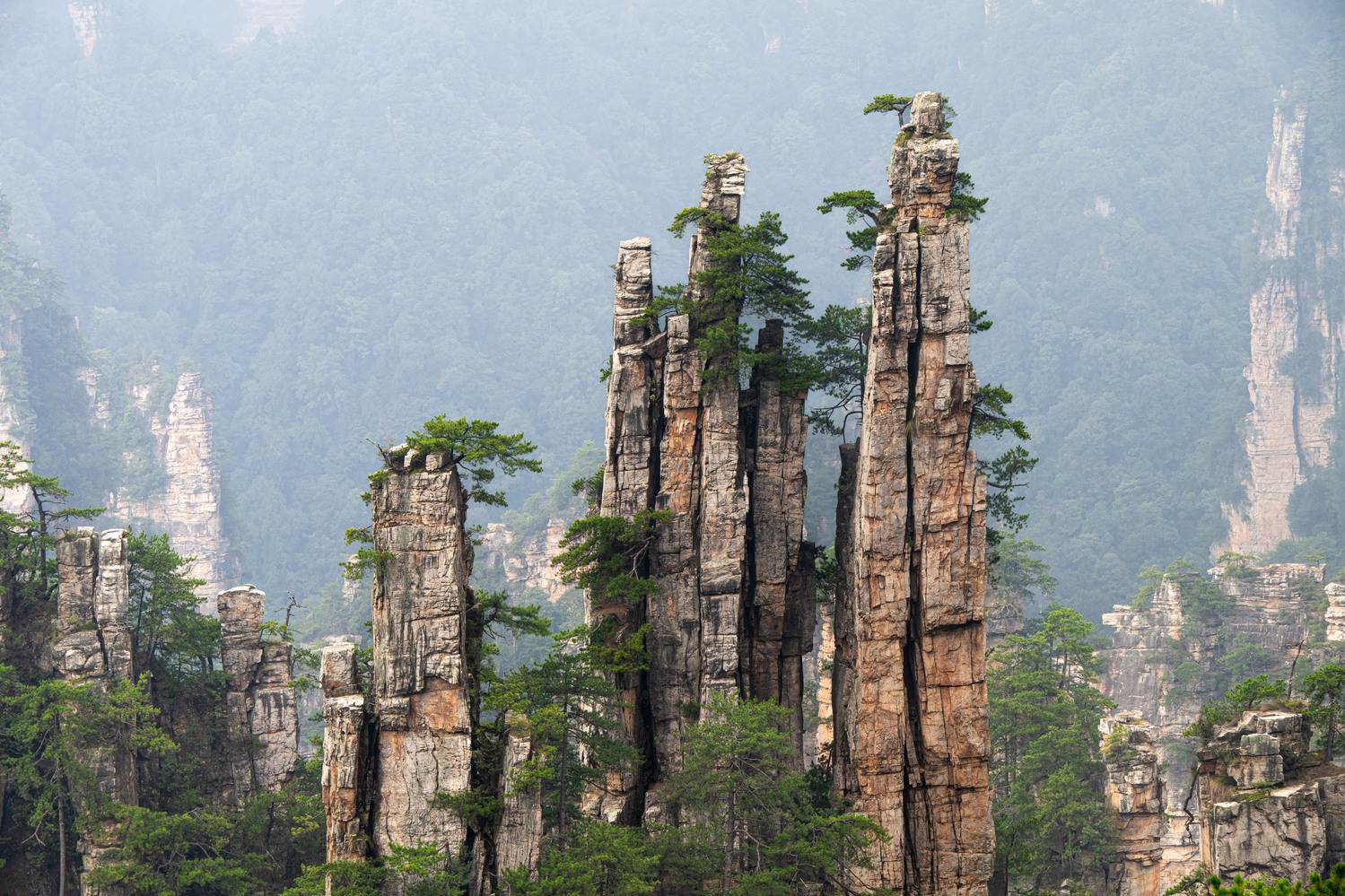 Китай, Сулоев Алексей