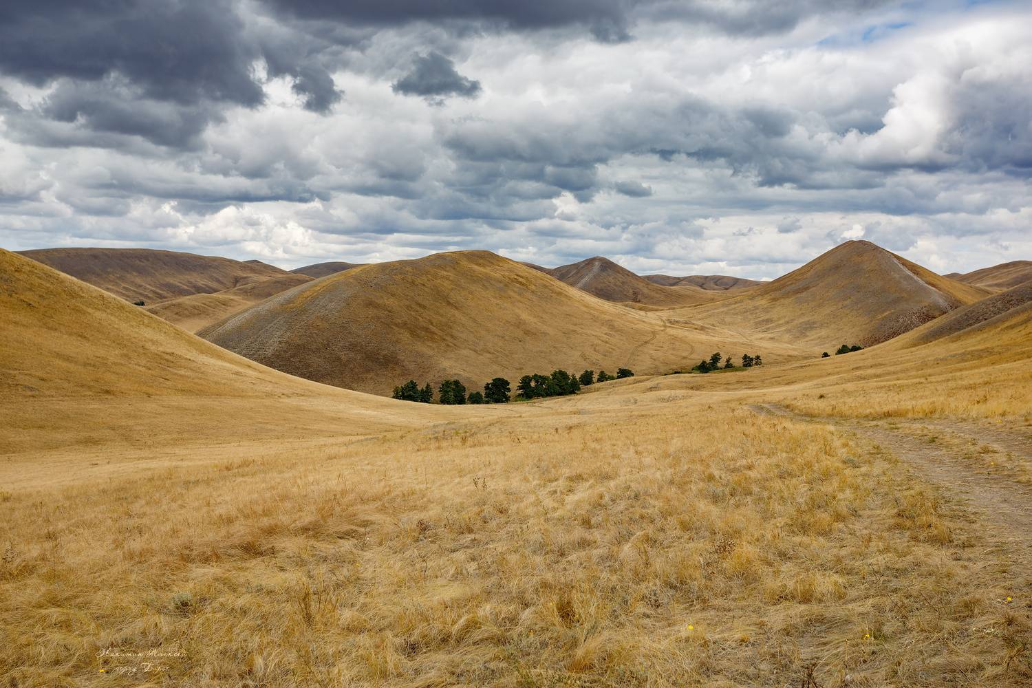, Никитин Алексей