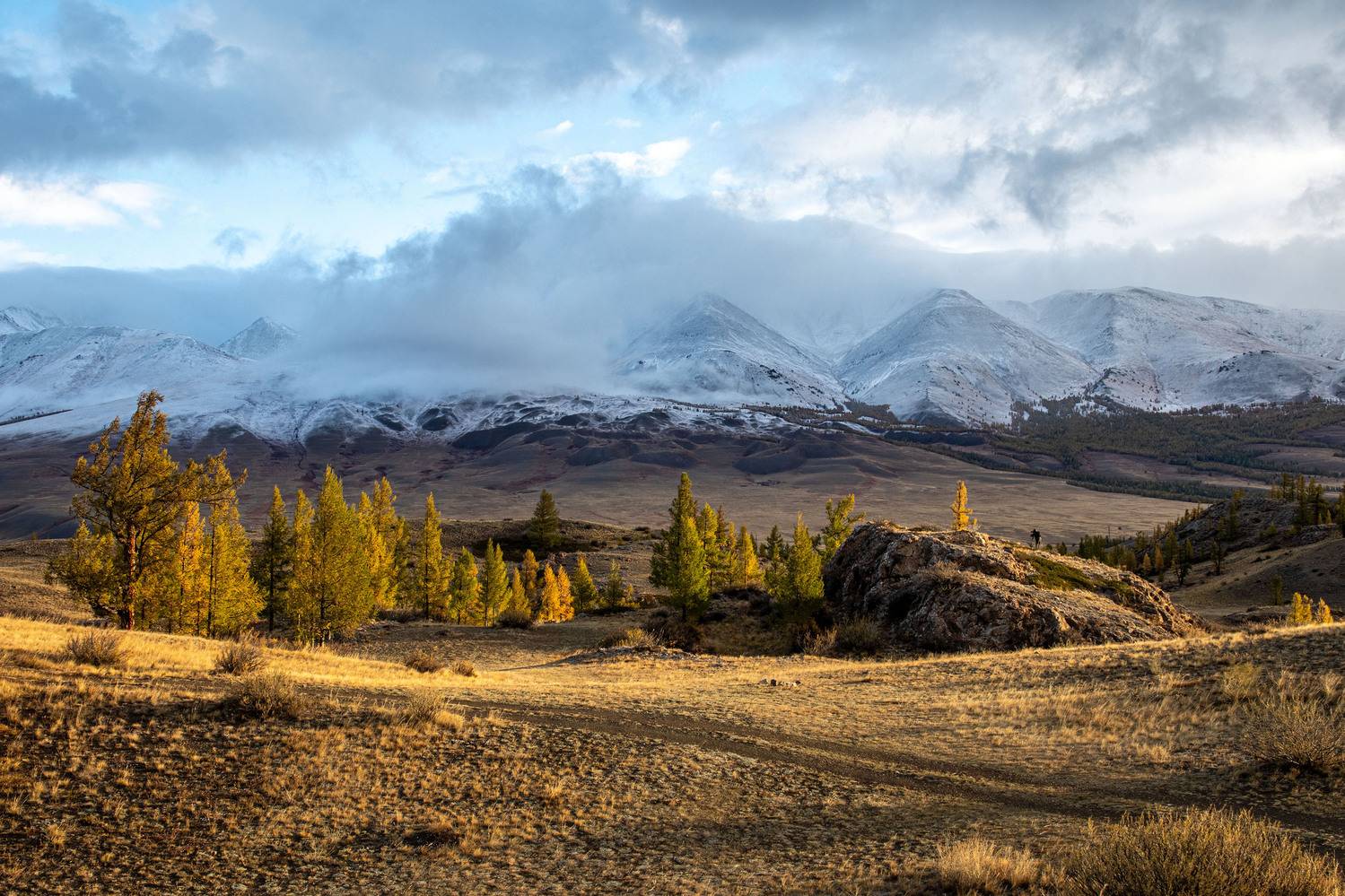 алтай, Добролюбова Тамара