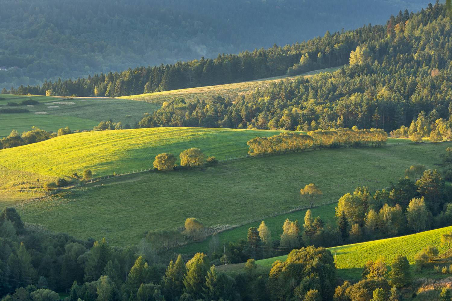 ,  Mirosław Pruchnicki